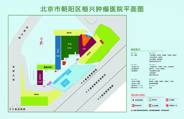 大骚逼黄色北京市朝阳区桓兴肿瘤医院平面图